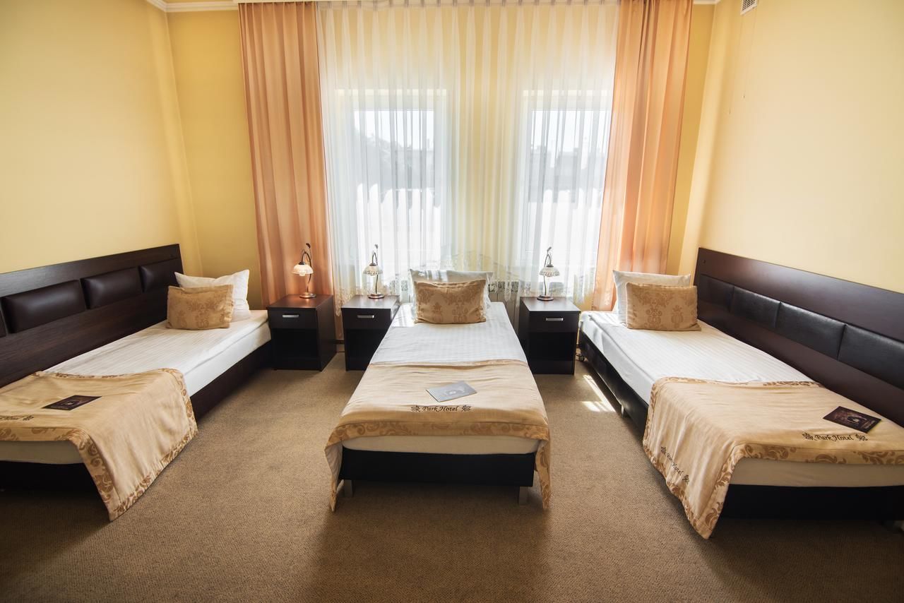 Отель Park Hotel Tryszczyn Tryszczyn